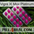Vigra Xl Max Platinum 10